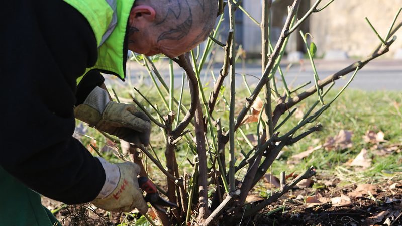 Espaces verts et environnement